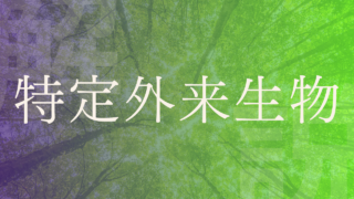 【特定外来生物】導入経路や被害・対策は？ジャンボタニシの実例についても解説！