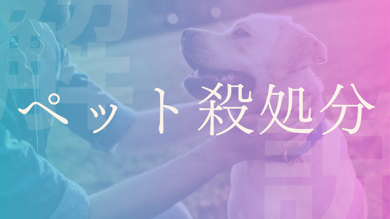 【ペット殺処分】理由や目的、日本や海外のゼロへの取り組み事例などを解説!|LobbyAI 政経百科|政治経済を、もっとおもしろく。